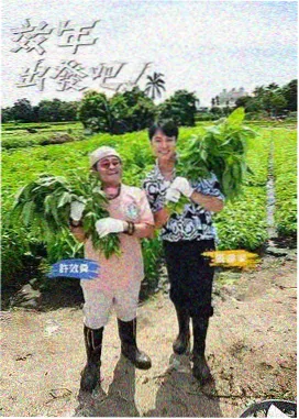 天堂在线电影音乐竞演综艺今晚开麦